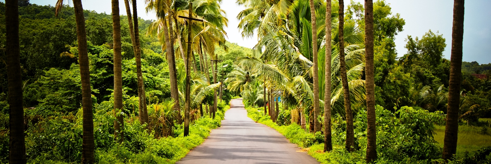 Club Leisure Goa